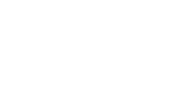 Grupo Spri